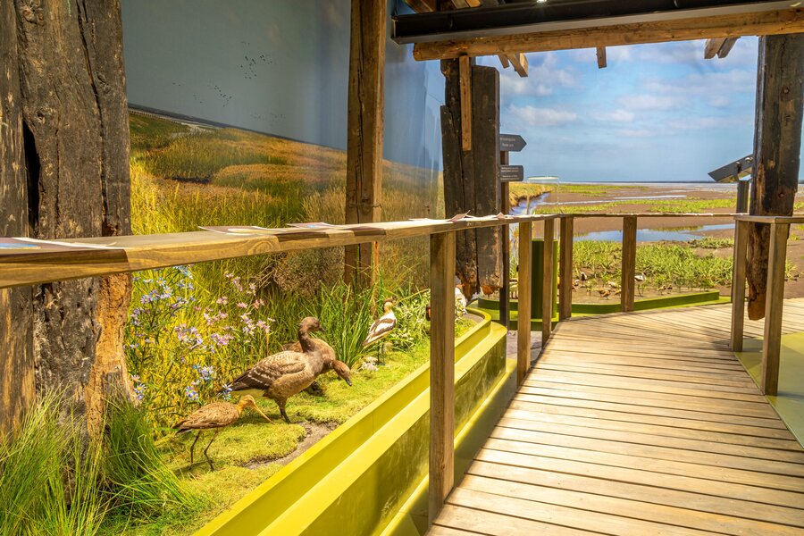 Salzwiese, Foto: René Spielmann Salzwiese