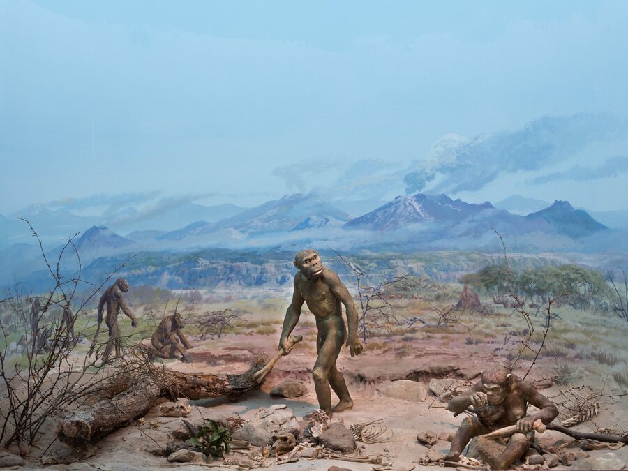 Historisches Diorama, Foto: Landesmuseum Hannover Historisches Diorama im Landesmuseum Hannover