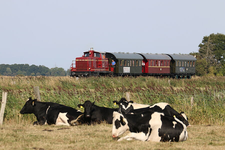 Auf dem Teilstück der Küstenbahn zwischen Norden und Dornum pendelt zwischen Juni und Oktober der Museumszug der MKO.  