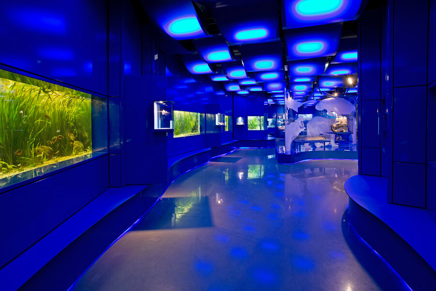 WasserWelten, Foto: Landesmuseum Hannover WasserWelten im Landesmuseum Hannover