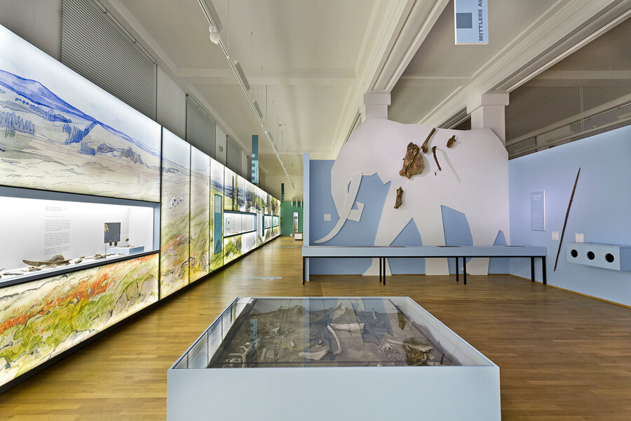 Raumansicht Archäologie, Foto: Landesmuseum Hannover Raumansicht Archäologie im Landesmuseum Hannover