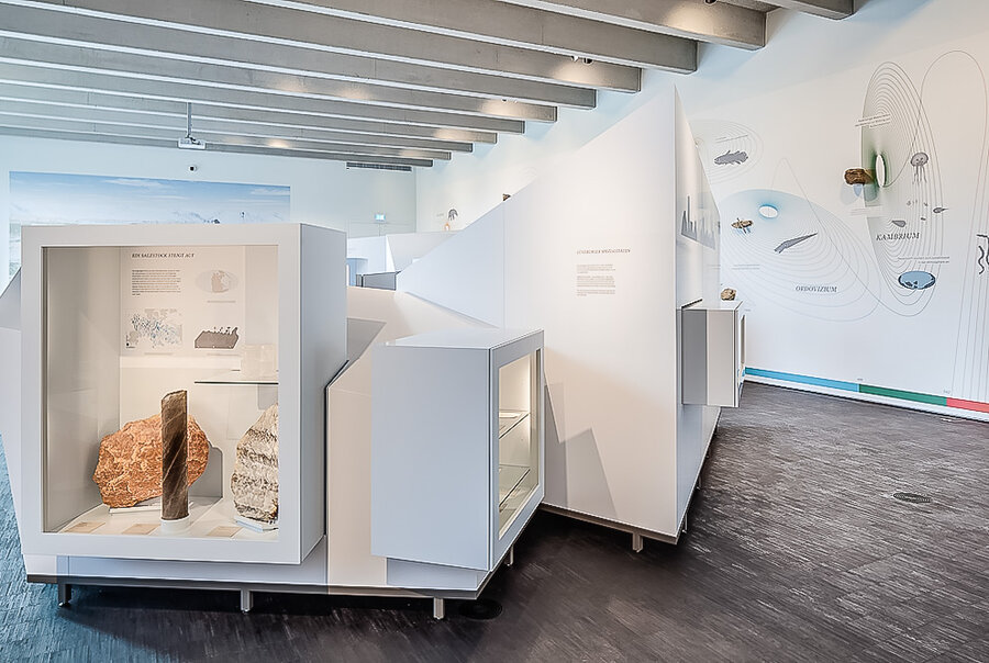 Blick in die Ausstellung, Foto: Museum Lüneburg Blick in die Ausstellung - Museum Lüneburg