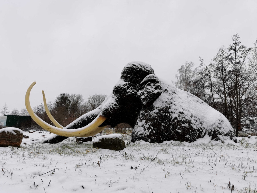 Lebensgroße Mammut-Figur im Eiszeitgarten, Foto: Stadt Salzgitter, Städtisches Museum Schloss Salder Lebensgroße Mammut-Figur im Eiszeitgarten - Städtisches Museum Schloss Salder