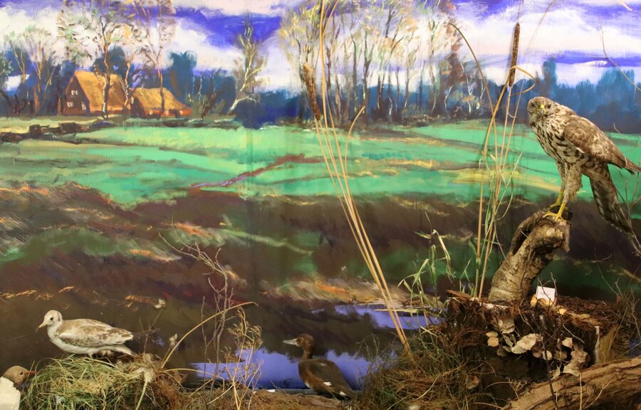 Ausstellungsobjekt, Foto: Wald- und Moormuseum Berumerfehn Ausstellungsobjekt Wald- und Moormuseum Berumerfehn